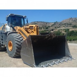 LIEBHERR L586 2PLUS2 - Yükleyici paletler