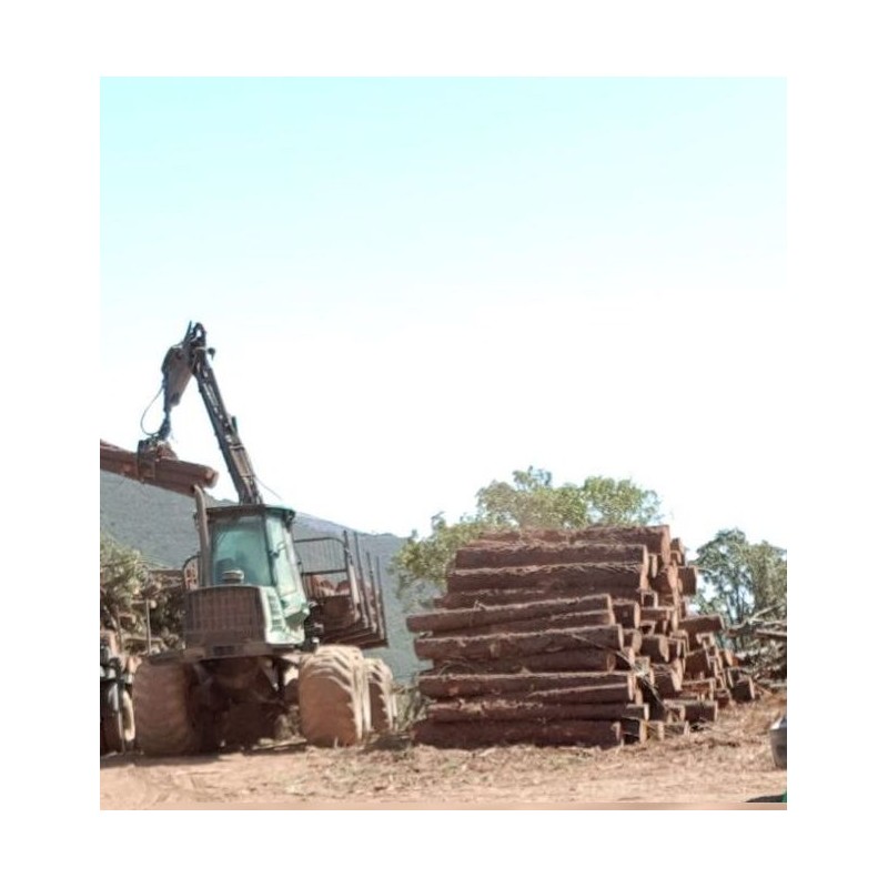 TIMBERJACK 1710