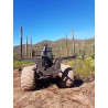 TIMBERJACK 1710